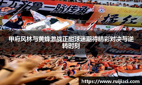甲府风林与黄蜂激战正酣球迷期待精彩对决与逆转时刻